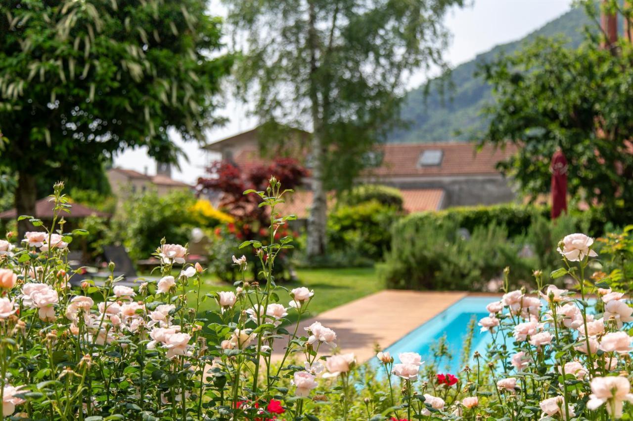 Hotel Calvi-ristorante Mainor